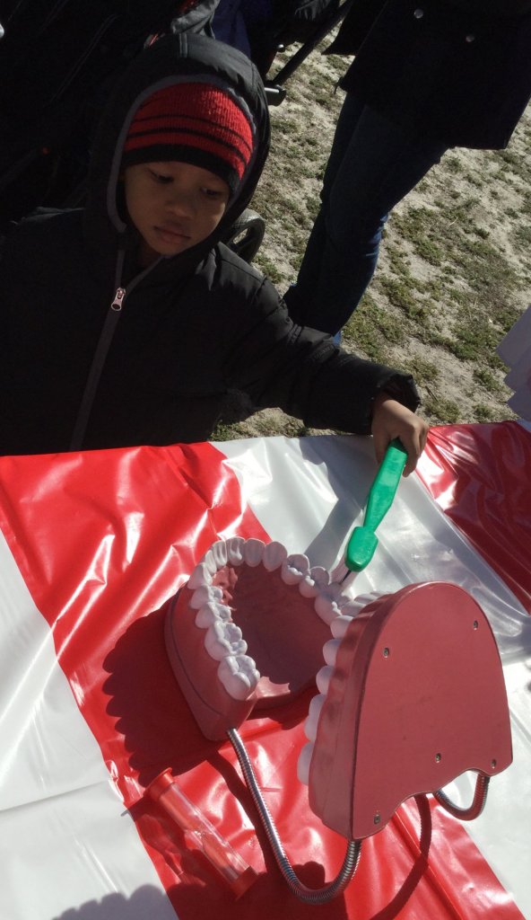 Partners in Education event, a young boy in front of a table with a teeth model 