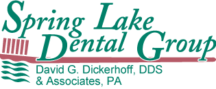 Logo for Springlake Dental Group